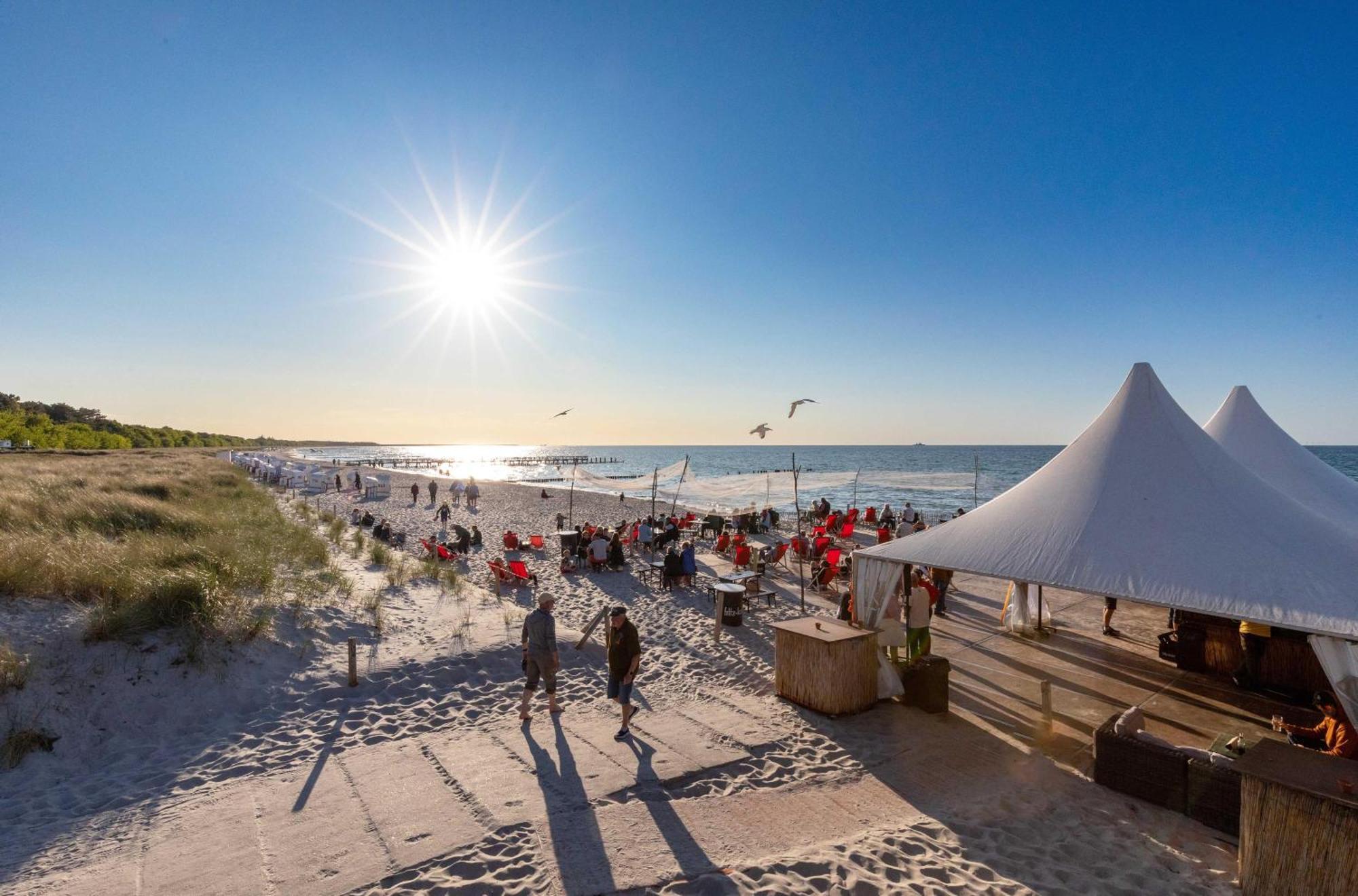 Krosse Krabbe an der Seebrücke Zingst Exterior foto